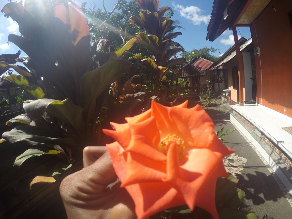 Dipa Home Stay Ubud Exterior foto